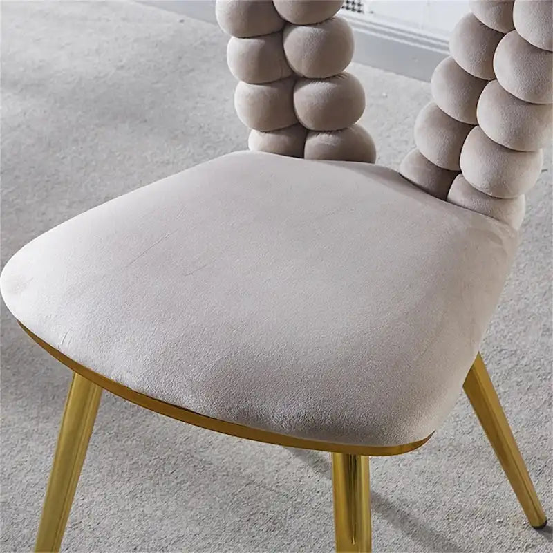 GEITIN Modern Dining Chair with Metal Legs Set of 2