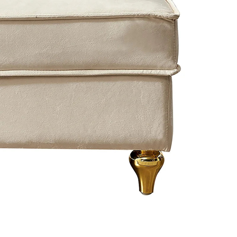 French Elegant Velvet Upholstered Storage Chaise Lounge Chair with a Pillow