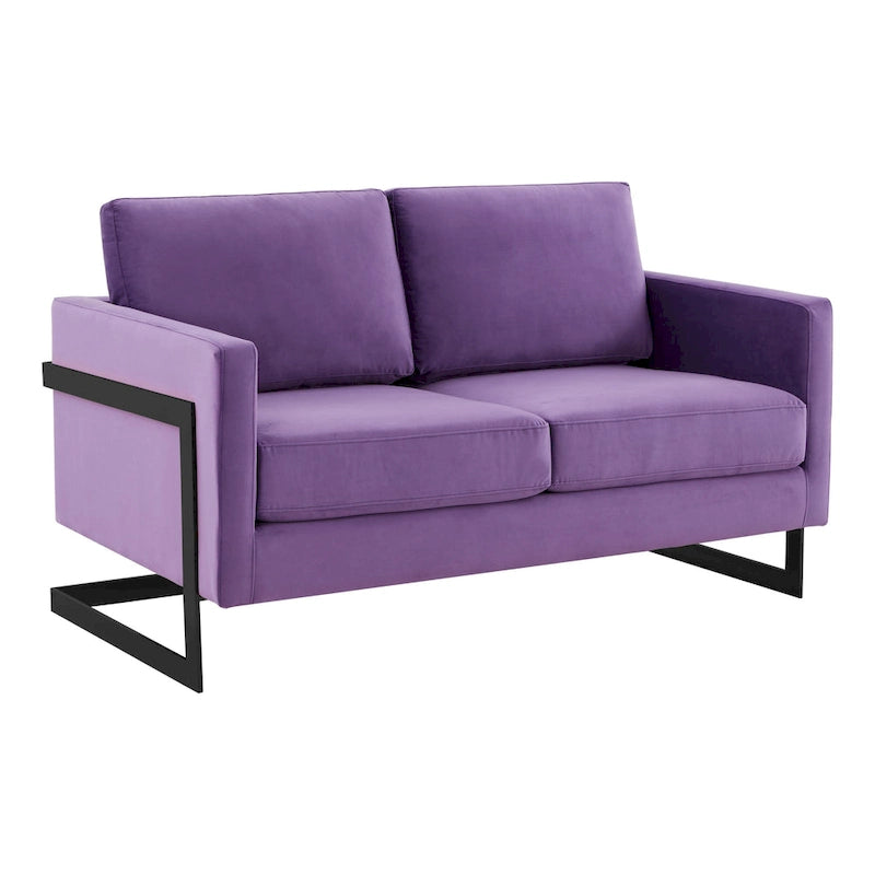Upholstered Loveseat Sofa in Velvet Fabric with Removable Cushions and Stainless Steel Frame